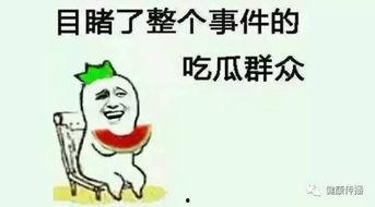 关于吃瓜群众 简,揭秘网络围观现象背后的社会心理