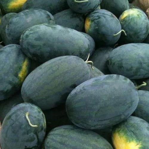 侯府主母吃瓜,宫廷秘闻大揭秘