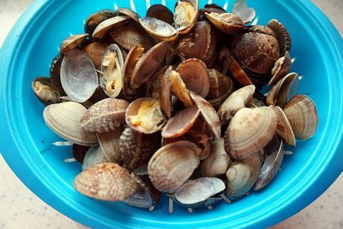 产妇吃蛤蜜瓜吗