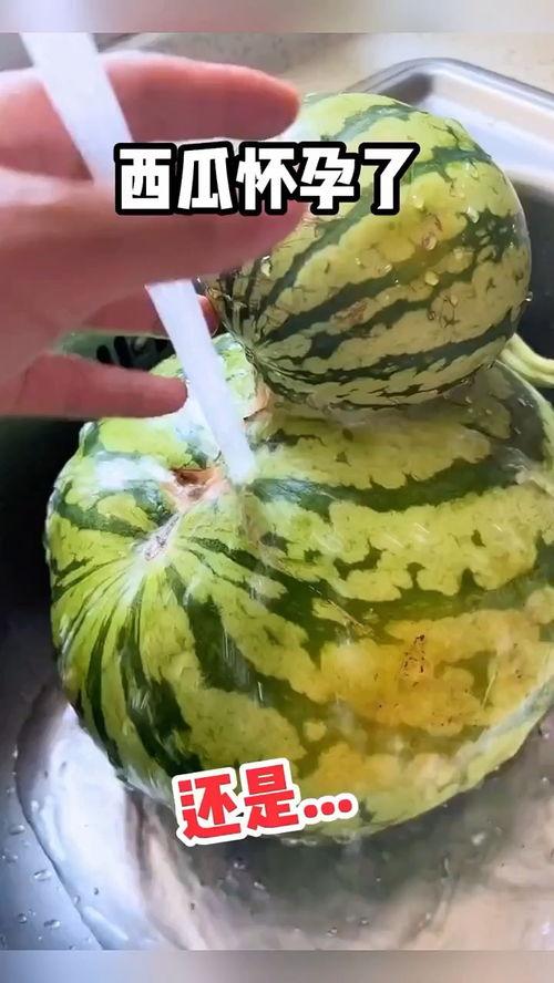 吃瓜搞笑实时视频,带你领略欢乐瞬间