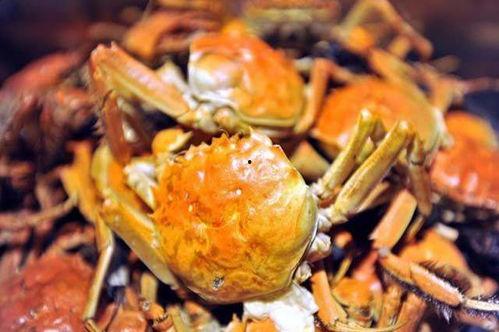 吃瓜哥买的螃蟹怎么吃,美味螃蟹的多样吃法