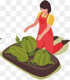 围观吃瓜音频素材下载,一场全民参与的娱乐盛宴