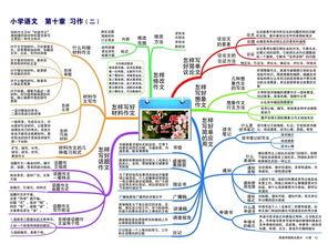 pdf吃瓜思维导图,揭秘PDF思维导图中的热点解析