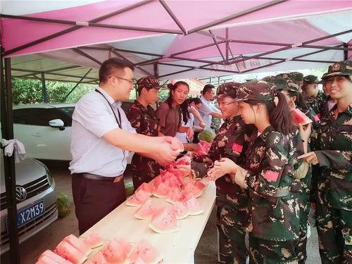 万里学院吃瓜群,揭秘校园生活那些事儿