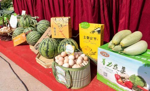 淮北吃瓜视频,揭秘当地特色美食与风土人情