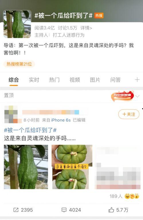 吃瓜爆料大瓜投稿,吃瓜爆料大瓜投稿背后的真相