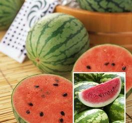 喜欢吃瓜看瓜,跟随味蕾探寻美食瓜果之旅