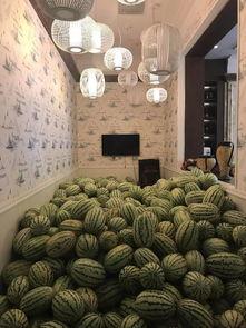 助力瓜农免费吃瓜,免费瓜香飘满城