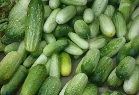 云南民族吃瓜,瓜果飘香中的民族美食之旅