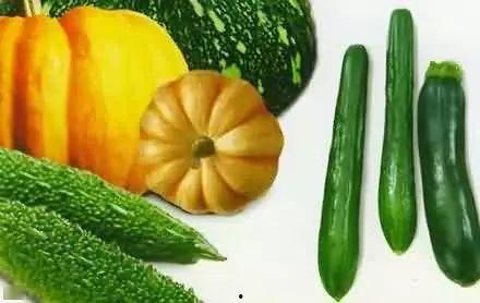 肃北吃瓜,探寻瓜乡的独特魅力