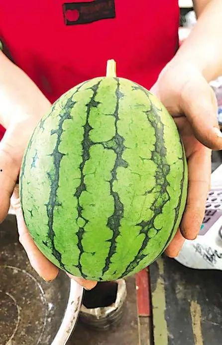 青岛吃瓜墙,揭秘城市生活百态的“街头小剧场”