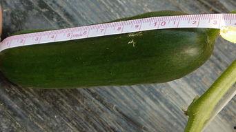 新鲜吃瓜群,揭秘娱乐圈幕后故事，带你领略明星真实生活