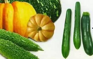 吃瓜新事物,揭秘网红瓜果的火爆之谜