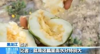 无锡吃瓜最新,揭秘当地美食背后的故事与风情