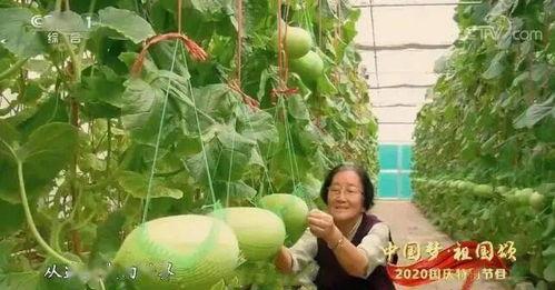 天津吃瓜最新事件,揭秘背后真相与争议焦点