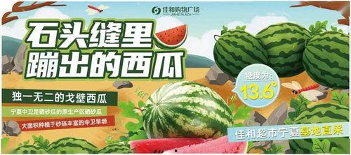 今日吃瓜51热门大瓜,51热门事件盘点，揭秘娱乐圈幕后风云